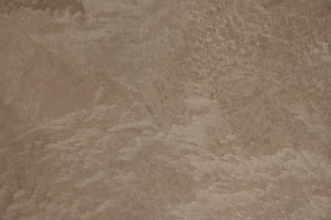 DSC 2904